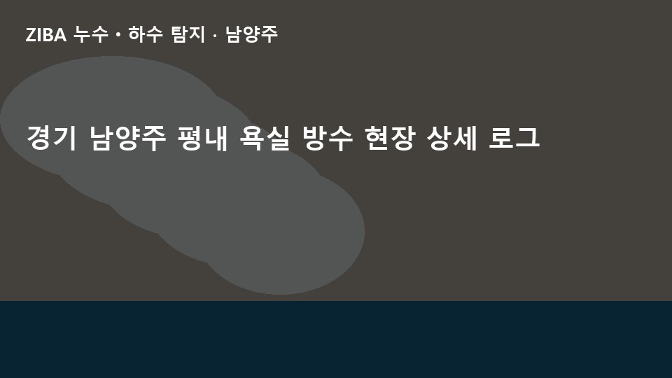 경기 남양주 평내 욕실 방수 현장 상세 로그